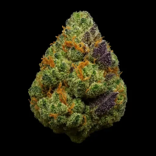 Mimosa